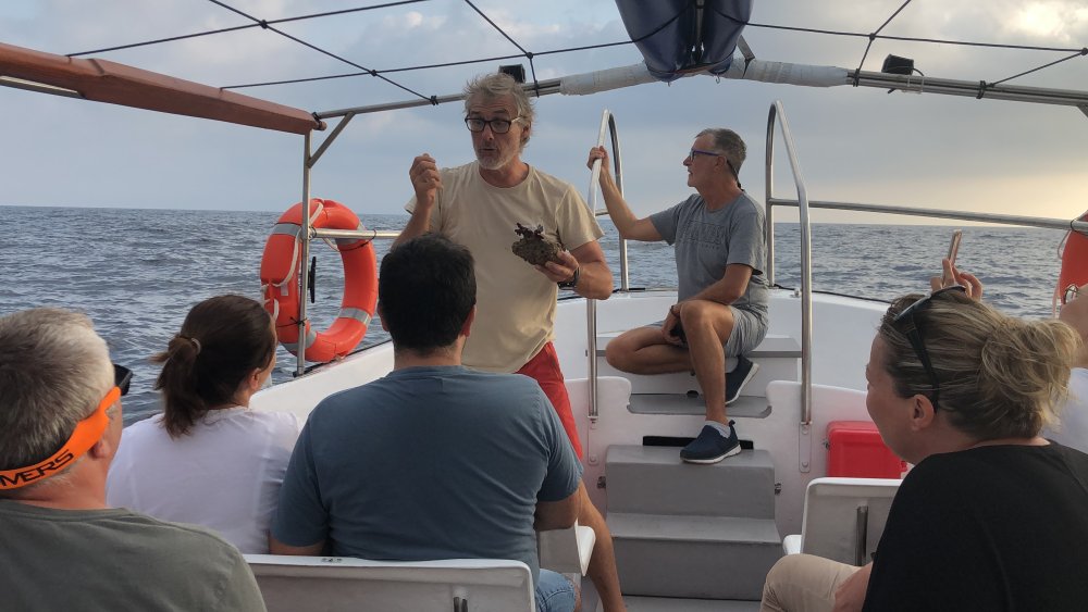 Efecte Reserva – Sortida en barca a les Illes Medes amb biòleg marí